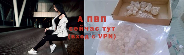 ALPHA PVP Белокуриха