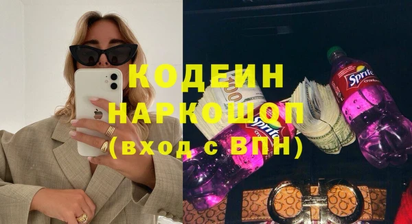 молекула духа Богданович