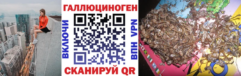 где купить   гидра ССЫЛКА  Псилоцибиновые грибы Magic Shrooms  Янаул 